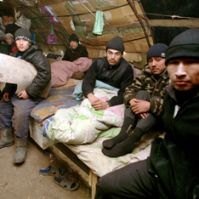 5 млн нелегальных мигрантов могут получить российское гражданство в ходе миграционной амнистии