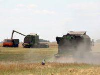 3 млрд долларов инвестирует Китай в развитие сельского хозяйства Украины