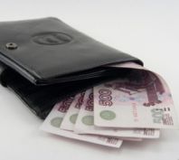 Рост зарплат в России в 2012 году составил в среднем 11%