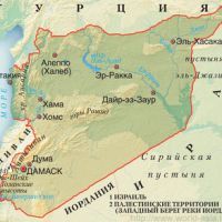 60 военнослужащих расстреляно в Сирии за попытку дезертирства