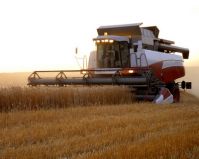 На 3,451 трлн рублей произвел продукции российский АПК в 2011 г.