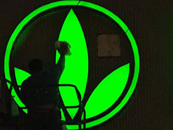 На 20% упал курс акций Herbalife 1 мая несмотря на рост выручки