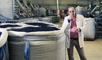 5,1 млрд рублей составила выручка компании, производящей "Бабкины семечки"