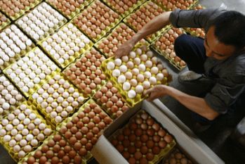 Россельхознадзор советует импортерам объезжать Украину