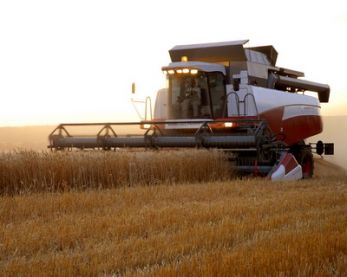На 3,451 трлн рублей произвел продукции российский АПК в 2011 г.